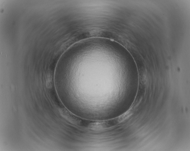 X0000072980082200608041254