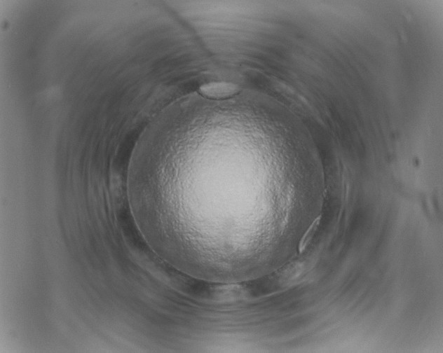 X0000072980087200608041254