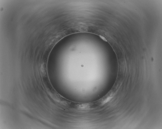 X0000072980088200608041254