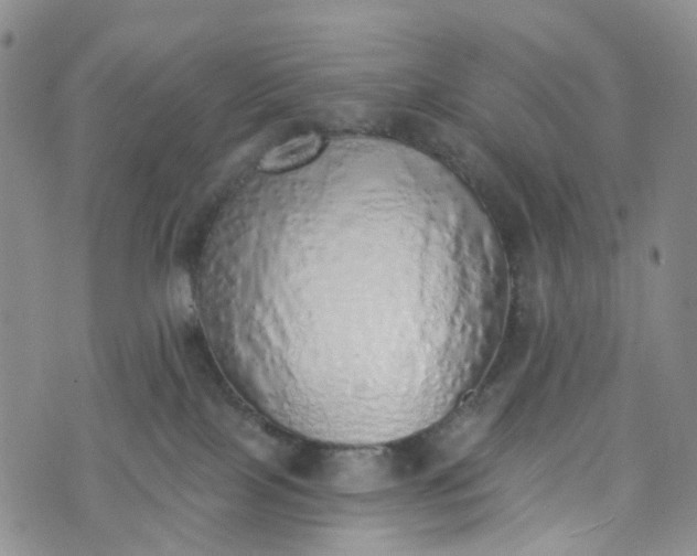 X0000072980089200608041254