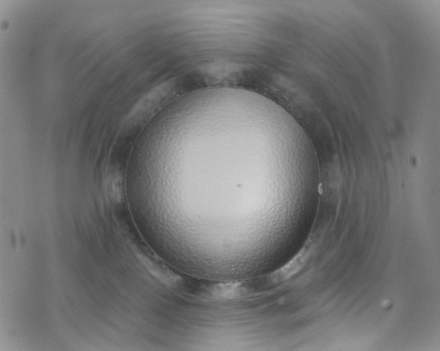 X0000072980090200608041254