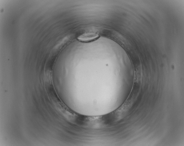 X0000072980093200608041254