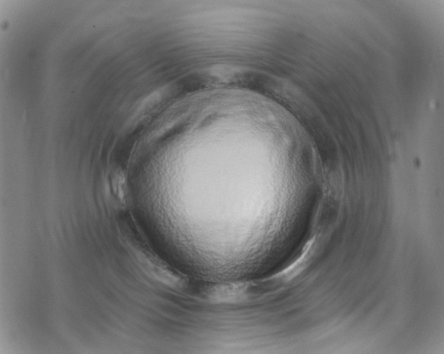 X0000072980094200608041254