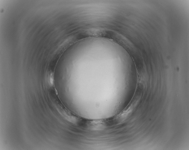 X0000072980095200608041254