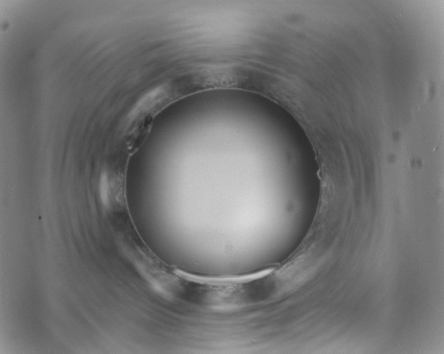 X0000072980096200608041254