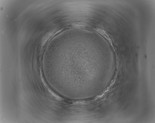 X0000072980097200608041253