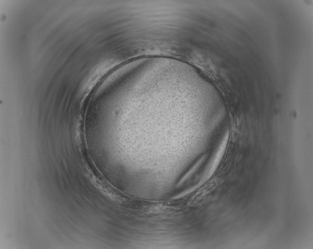 X0000072980098200608041253