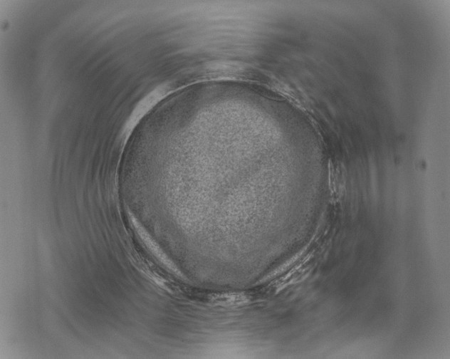 X0000072980099200608041253