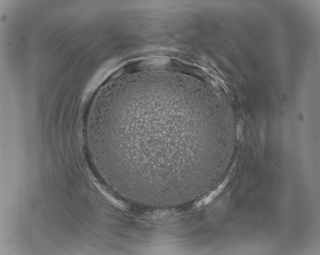 X0000072980101200608041253