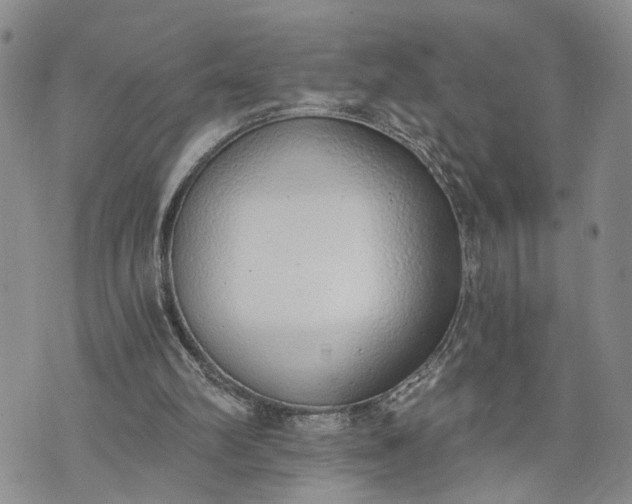 X0000072980102200608041253