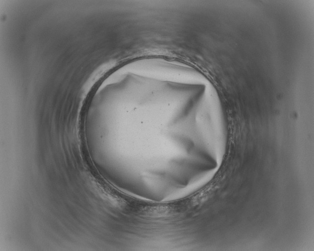 X0000072980104200608041253