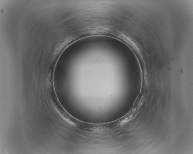 X0000072980105200608041253