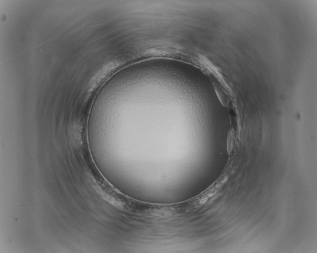 X0000072980106200608041253