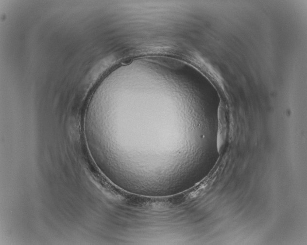 X0000072980107200608041253