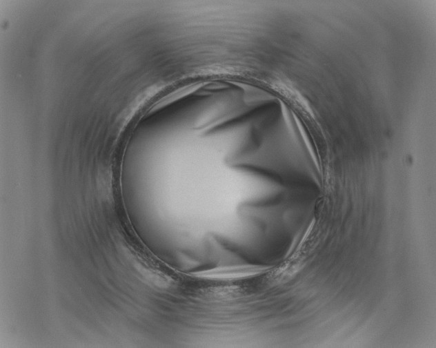 X0000072980108200608041253