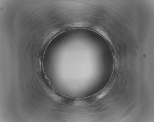 X0000072980109200608041253