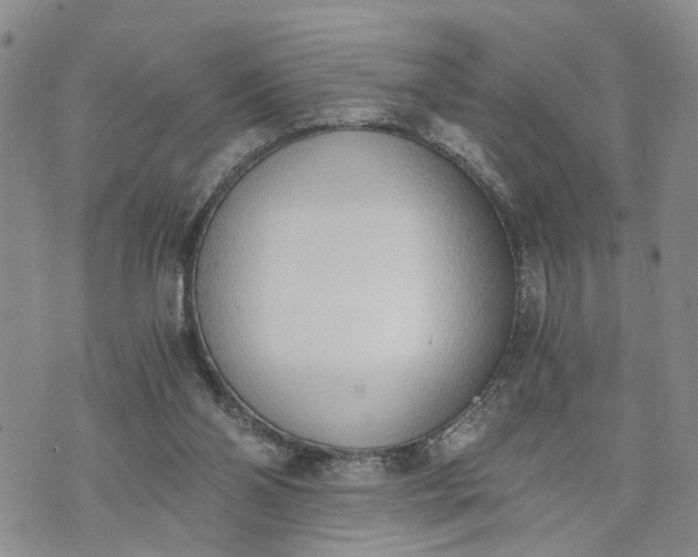 X0000072980110200608041253