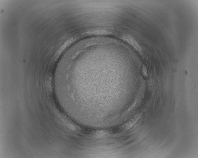 X0000072980111200608041253