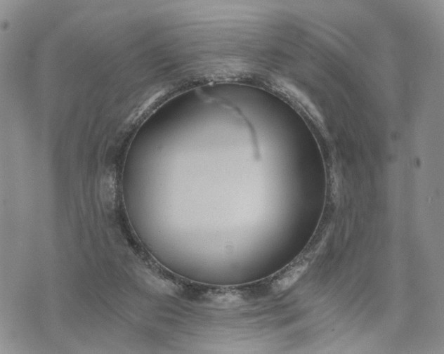 X0000072980113200608041253