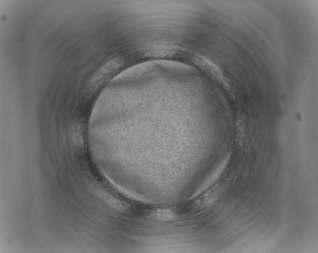 X0000072980114200608041253