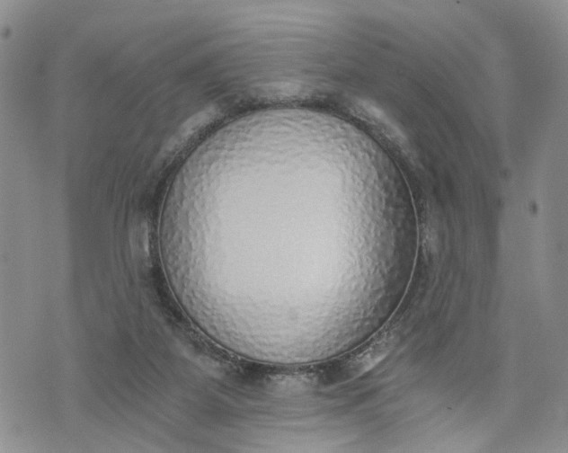 X0000072980115200608041253