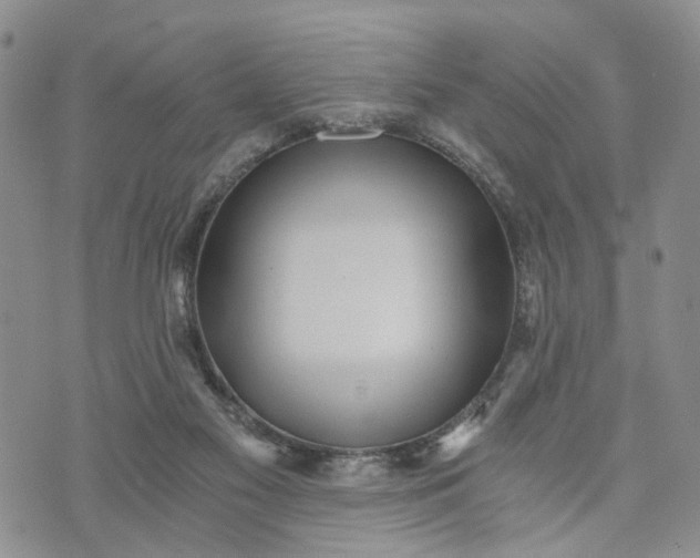 X0000072980117200608041253