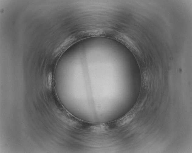 X0000072980118200608041253