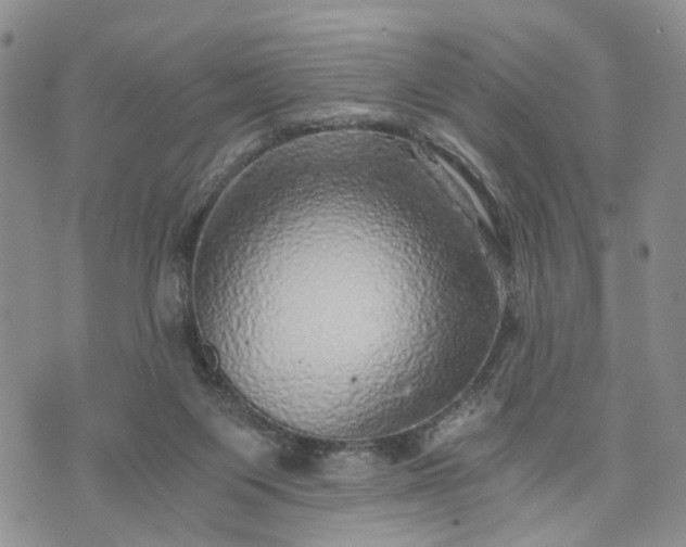 X0000072980119200608041253