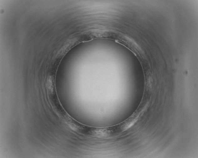 X0000072980121200608041253