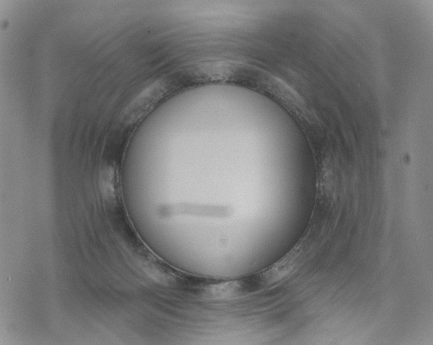 X0000072980122200608041253