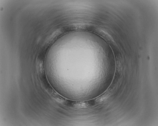 X0000072980123200608041253