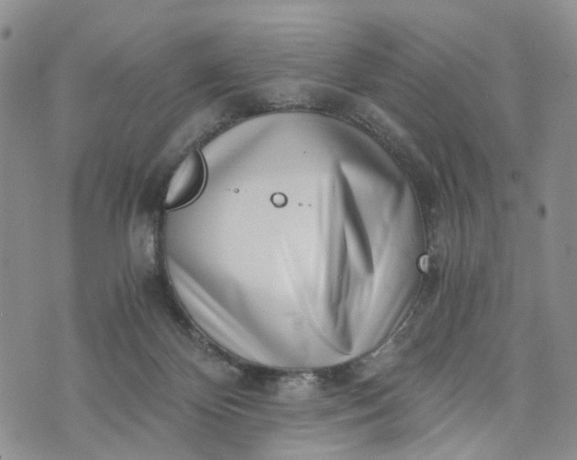 X0000072980124200608041253