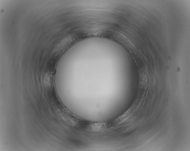 X0000072980126200608041253