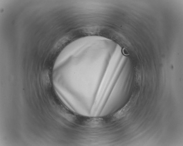 X0000072980128200608041253