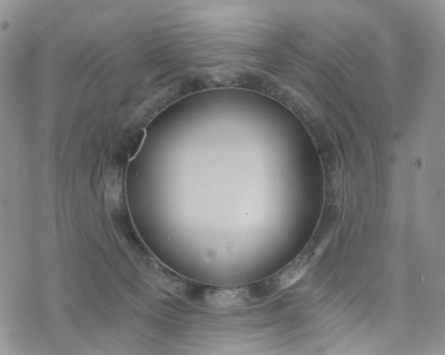 X0000072980129200608041253