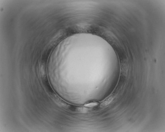 X0000072980131200608041252