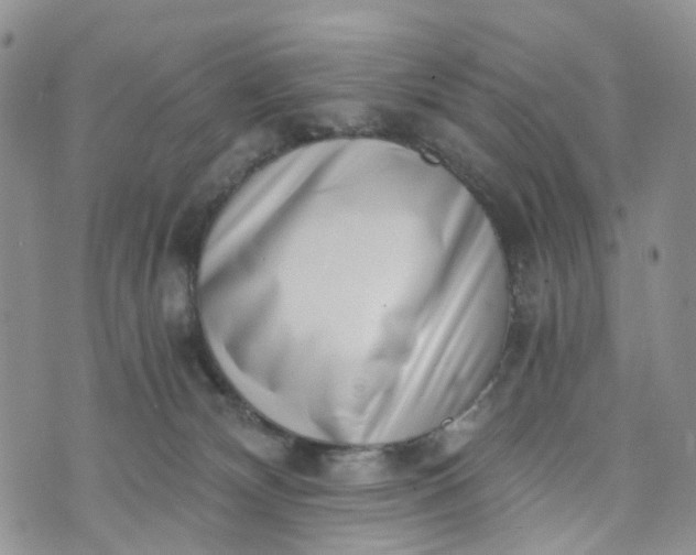 X0000072980132200608041252