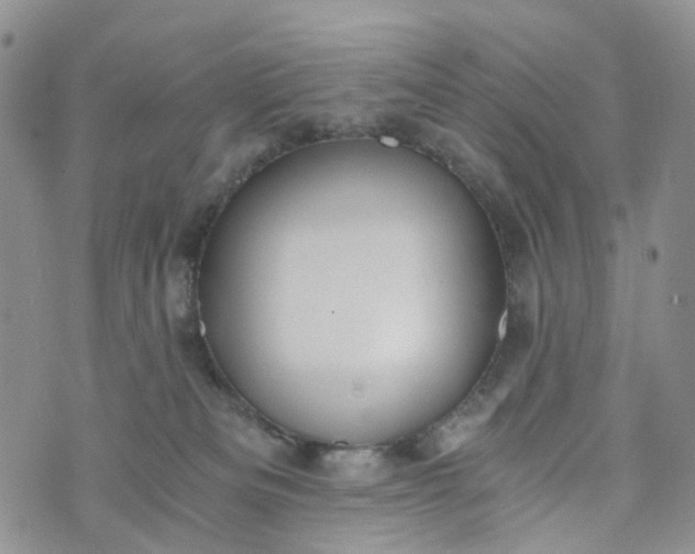 X0000072980133200608041252