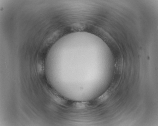 X0000072980134200608041252