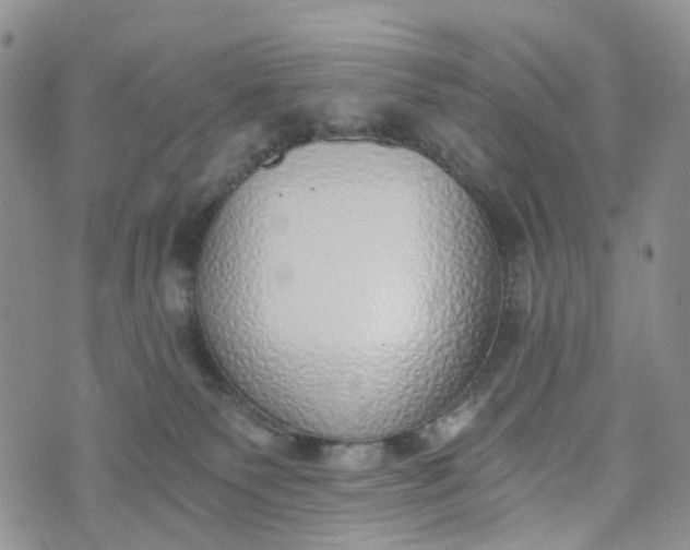 X0000072980135200608041252