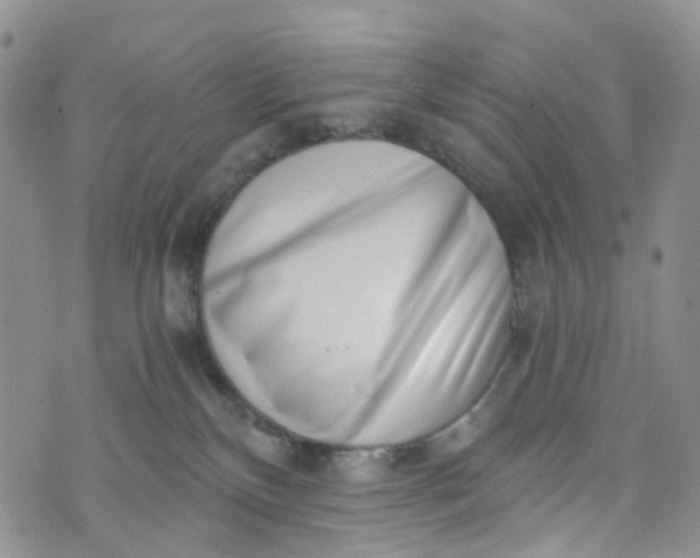 X0000072980136200608041252