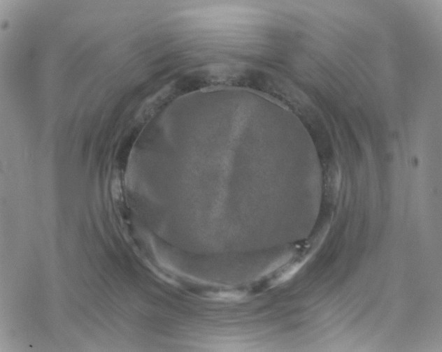 X0000072980137200608041252