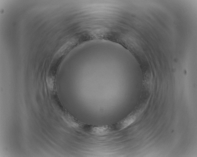 X0000072980139200608041252