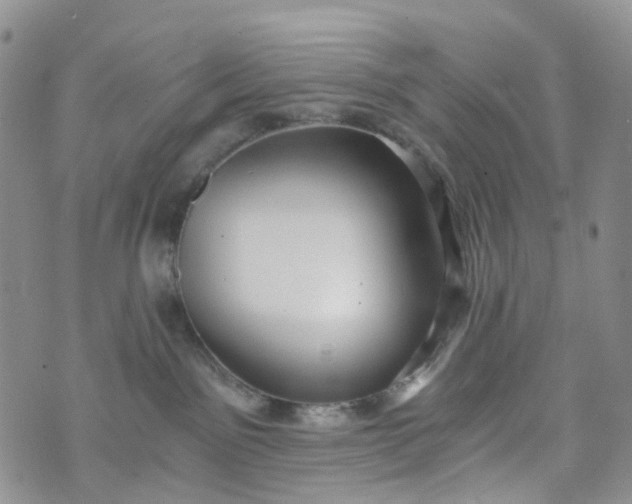 X0000072980141200608041252