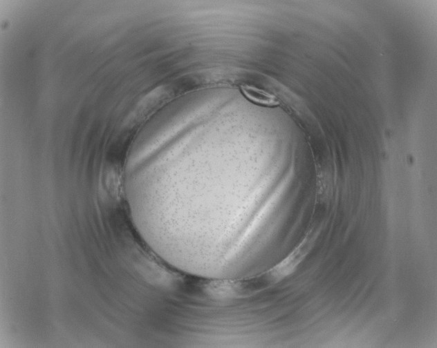 X0000072980142200608041252