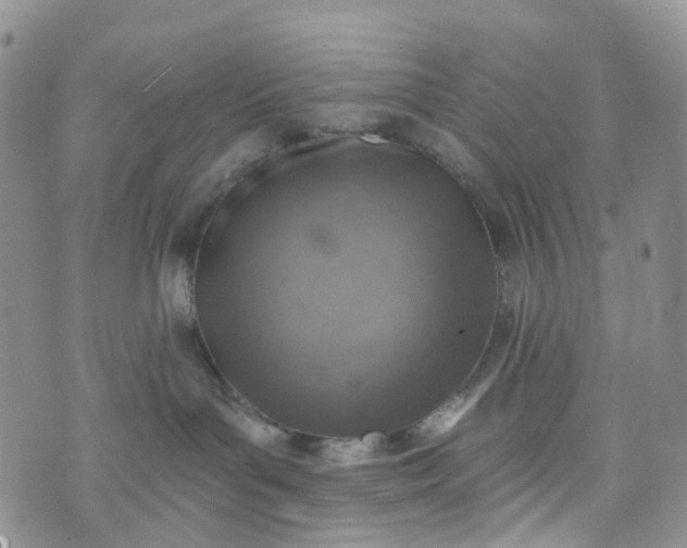 X0000072980143200608041252