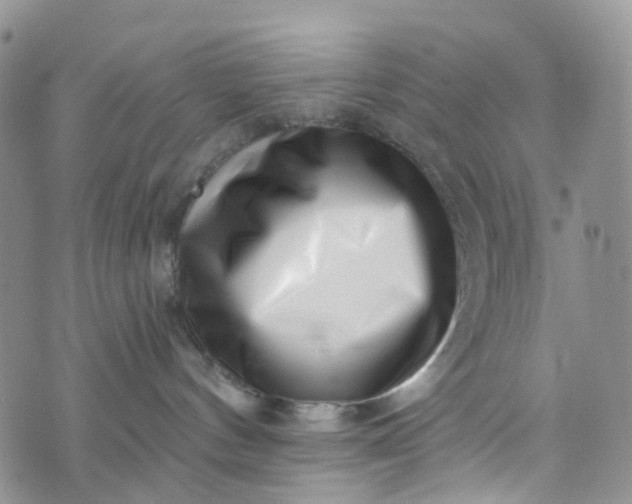 X0000072980144200608041252