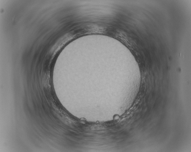 X0000072980146200608041252