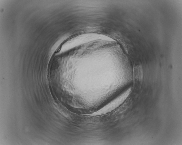 X0000072980147200608041252