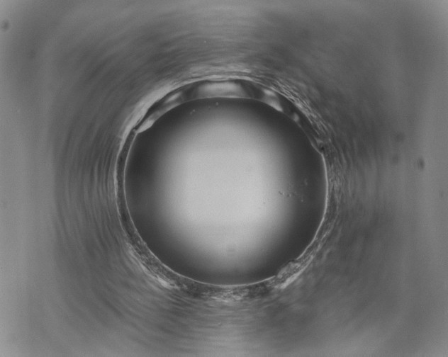 X0000072980148200608041252